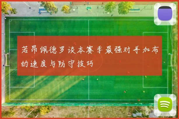若昂佩德罗谈本赛季最强对手加布的速度与防守技巧